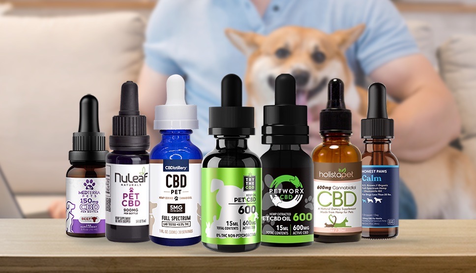 Understanding The Effectiveness Of Full-Spectrum CBD Oil For Dogs